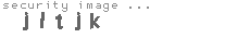 security image