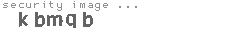 security image
