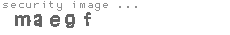 security image