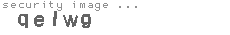 security image