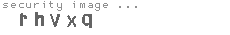 security image