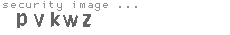 security image