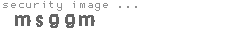 security image