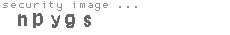 security image