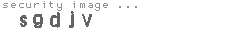 security image