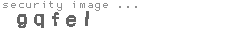 security image