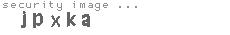 security image