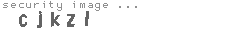 security image