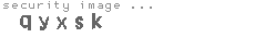 security image