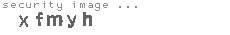 security image