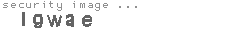 security image