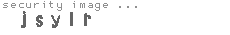 security image