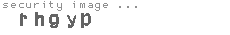 security image
