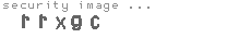 security image