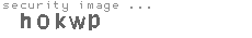 security image