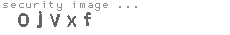 security image