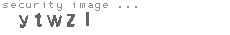security image