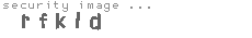 security image
