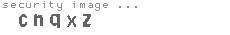 security image