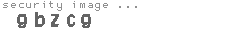 security image