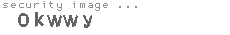 security image