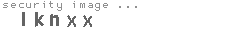 security image
