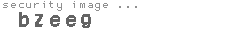 security image
