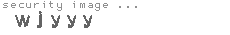 security image