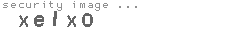 security image