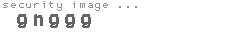 security image