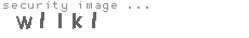 security image