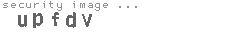 security image