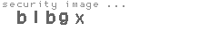 security image