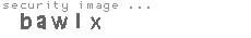 security image