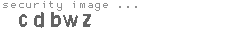 security image