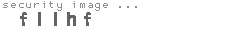 security image