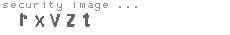 security image