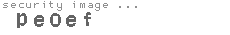 security image