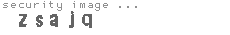 security image