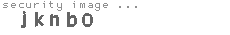 security image