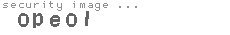 security image