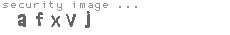 security image
