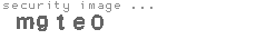 security image