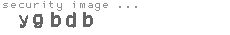 security image