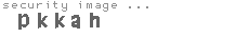 security image