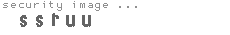 security image