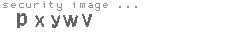 security image