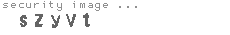 security image