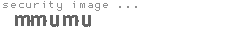 security image