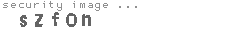 security image